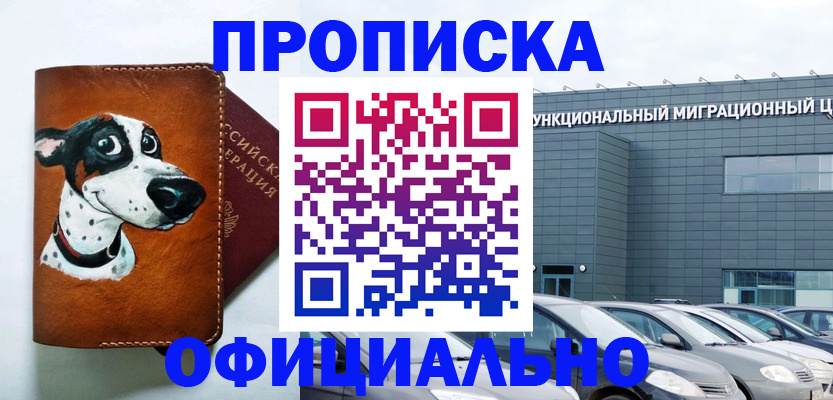 временная прописка в Дубне